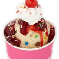 Single Sundae (Single Scoop)
