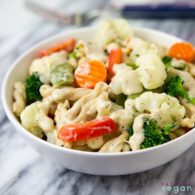 Alfredo VEG Pasta-White Sauce