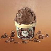 Belgium Chocolate Ice Cream (100g)