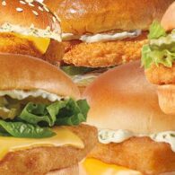 Fried Fish Burger - Combo 1