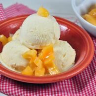 Jackfruit Ice Cream (100g)