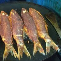THAVA FISH