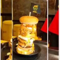 Tandoori Chicken Burger - Tower